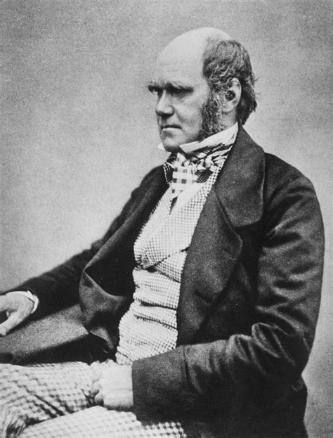 File:Charles Darwin seated crop.jpg - Wikipedia