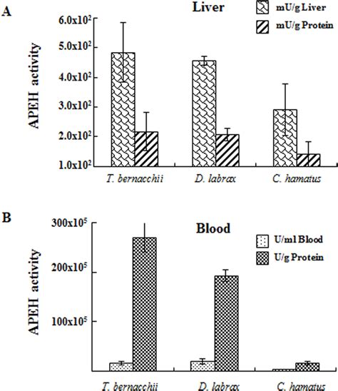 Total exopeptidase activity of APEH measured in (A) liver and (B) blood ...