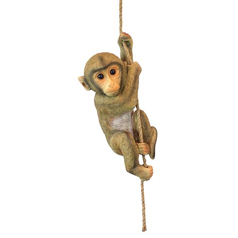 Buy Design Toscano QM2673300 Chico The Chimpanzee Baby Monkey Hanging Indoor/Outdoor Animal ...