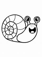 Happy Snail Coloring Page  Free Printable Pages sketch template
