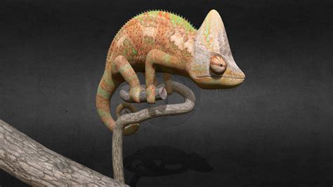 Chameleon - Download Free 3D model by Trouvaille (@dashdu) [3877371] - Sketchfab