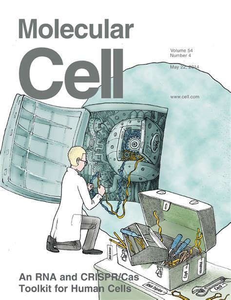 Issue: Molecular Cell