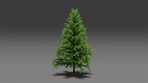 Pine Tree Free 3D Model In Blender Format – Quince Creative