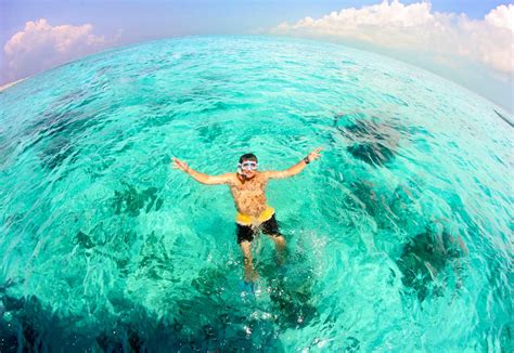 Starfish snorkeling at El Cielo Cozumel