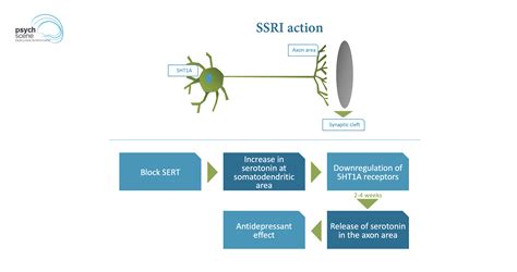 Latest Update on Pharmacology of SSRIs - Molecular Pathways Involved