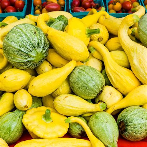 9 Types of Summer Squash (and How to Cook Them)