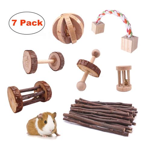 Do Guinea Pigs Need Chew Toys - ToyWalls