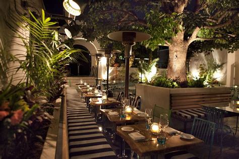 Lights under the tree in back corner of pool area | Restaurant patio ...