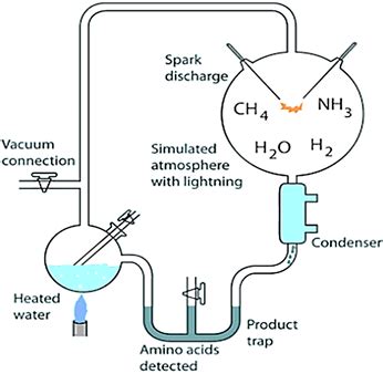 Diagrammatically represent the experimental set up that proved Oparin - Haldane