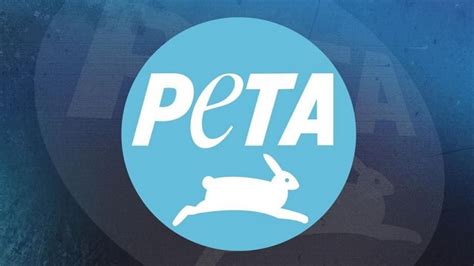 Why Amul And PETA Are Fighting It Out: Here's A Timeline Of The Vegan Controversy