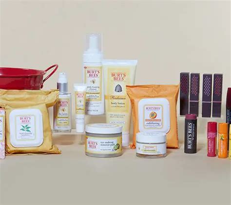 Burt's Bees Skin Care Set