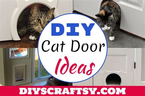 15 DIY Cat Door Ideas For Pet Lovers - DIYsCraftsy