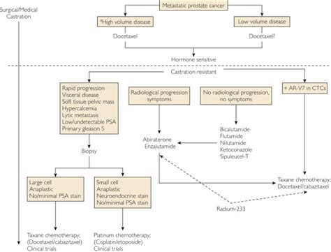 Advances in the Treatment of Metastatic Prostate Cancer - Mayo Clinic ...