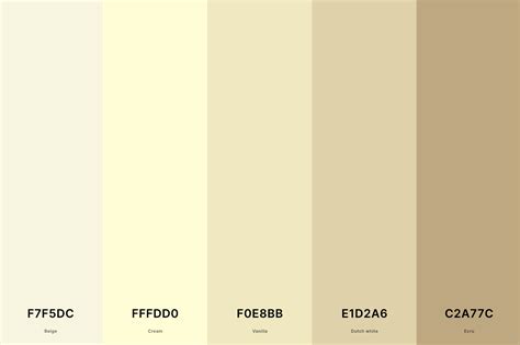 25+ Best Beige Color Palettes with Names and Hex Codes – CreativeBooster