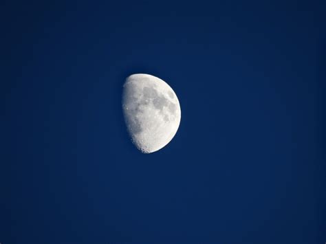 Moon,satellite,view,free pictures, free photos - free image from needpix.com