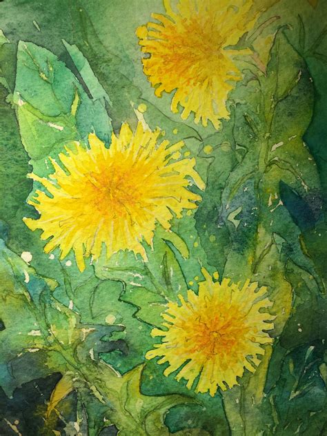 Dandelions, Spring flowers, watercolour | Löwenzahn, Hintergrund, Karten