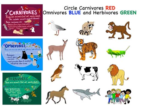 Herbivores And Carnivores Animals List