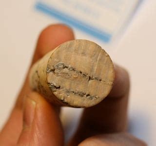 wine - Is it okay for cork to look a bit "moldy"? - Seasoned Advice