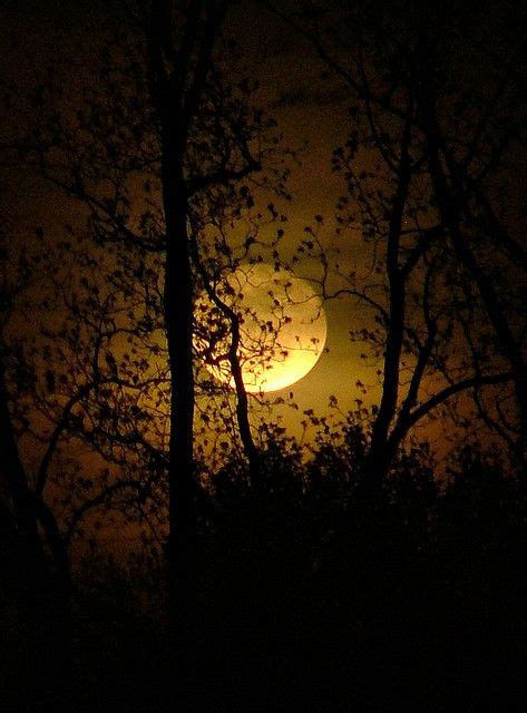 388 best images about Moonrise & Moonset on Pinterest | Night, Beautiful moon and To the moon