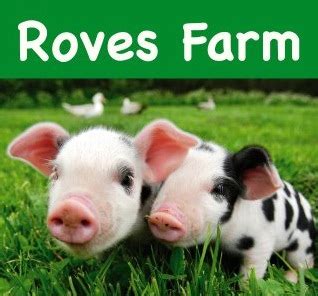 Roves Farm Swindon | Family Days out in Swindon