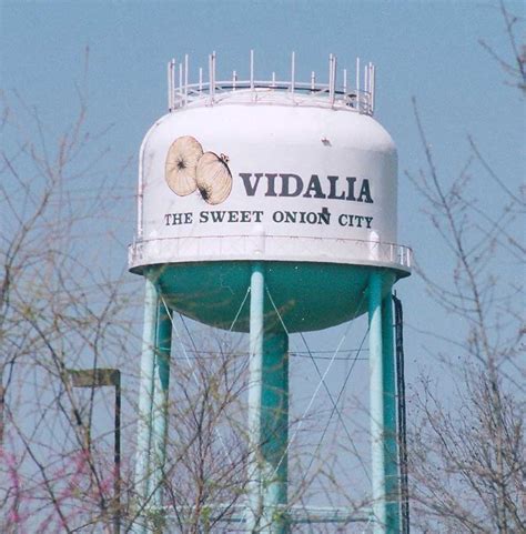 Vidalia Funeral Homes, funeral services & flowers in Georgia