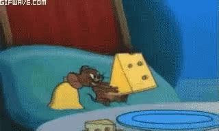 Mouse Cheese GIFs | Tenor