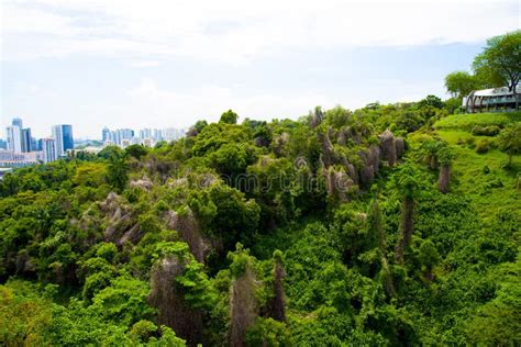 Mount Faber Park stock photo. Image of park, blue, wave - 159573162