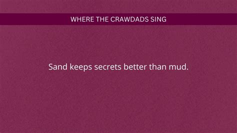 10 Best Where The Crawdads Sing Quotes Images from the Book