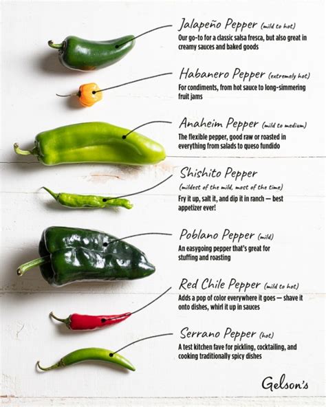 Home Cook's Guide to Chile Peppers Gelson's