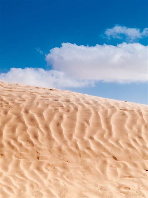 Douz,desert Landscape,sahara,tunisia,africa Stock Image - Image of tree ...