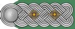 Ranks and insignia of the Ordnungspolizei - Wikipedia