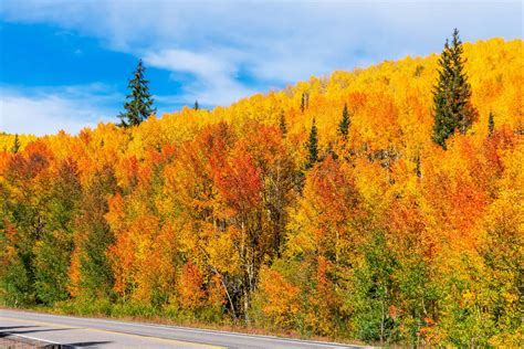 The 9 Best Spots for Leaf Peeping in Colorado: Peak Dates, Top Driving ...