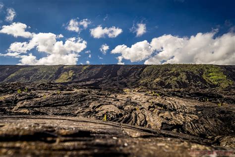 Lava Fields in Hawai'i Volcanoes National Park - Jeffsetter Travel