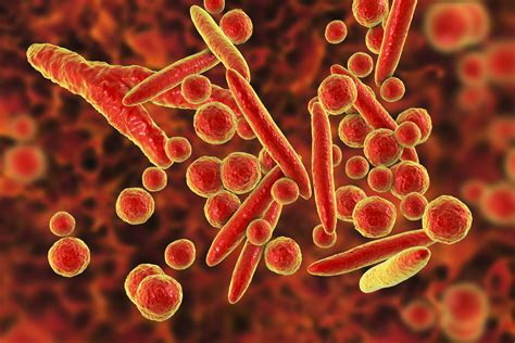 Mycoplasma Pneumoniae Grade 2 - Microbix Biosystems Inc.