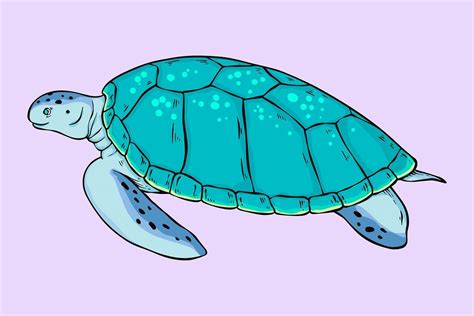 Turtle vintage cartoon clipart vector | free image by rawpixel.com / Noon Watercolor Paintings ...
