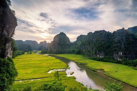 Rice Fields in the Early Morning at Tam Coc, Ninh Binh, Vietnam Stock ...