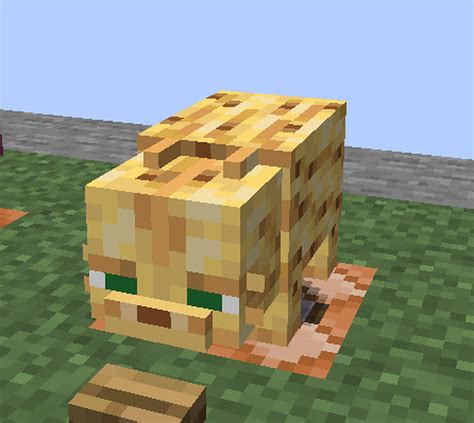 Fat Cat [Java + Bedrock] Minecraft Texture Pack