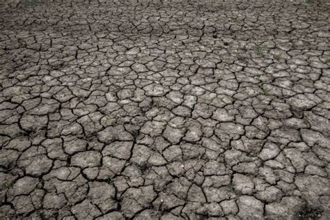 Dry Cracked Ground Free Stock Photo - Public Domain Pictures
