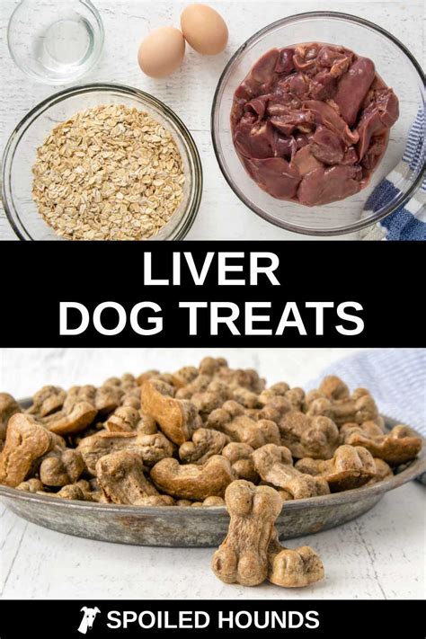 Best Homemade Liver Dog Treats Recipe - Spoiled Hounds