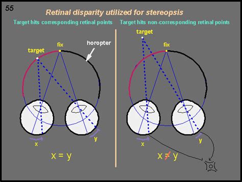 Binocular Cues Retinal Disparity