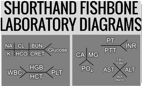 So here is an example of Shorthand Fishbone Diagrams found on Pinterest ...