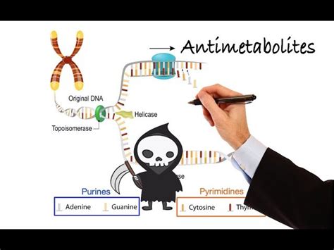 Free Video: Pharmacology - Cancer Drugs - Antimetabolites from Speed ...