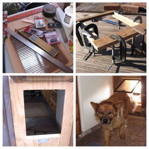 7 DIY Dog Door Plans: Give Your Canine Easy Outdoor Access!