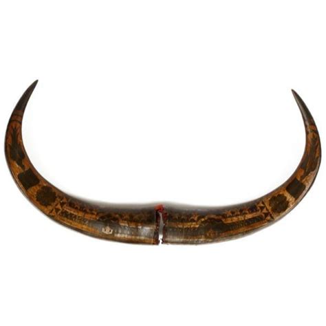 Hand Carved Water Buffalo Horns