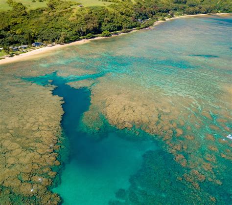 Anini Beach - Hawaii Lodging & Tourism Association