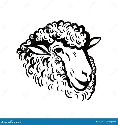 Farm Animals. Sheep Head Sketch Stock Vector - Illustration of isolated ...