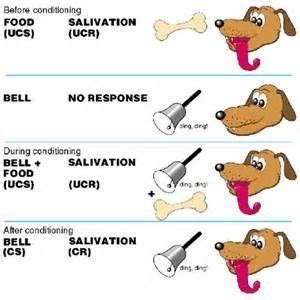 Chapter 5: Theories of Pavlovian Conditioning Flashcards | Quizlet