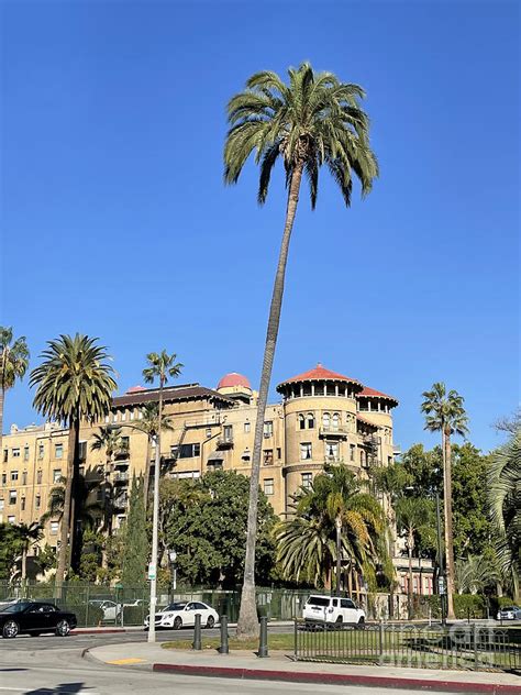 Vintage architecture. Beautiful Old Pasadena. 01 Photograph by Sofia ...