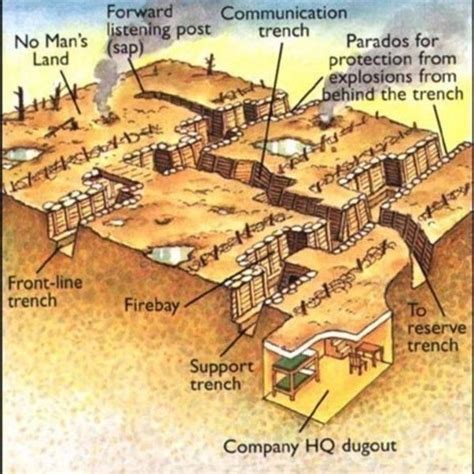 This is a diagram of a Trench in WWI. Every trench had a no mans' land, forward listening post ...