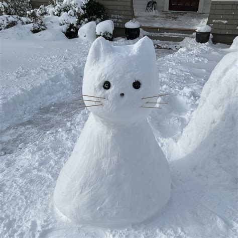 I made a snow cat! : r/cats